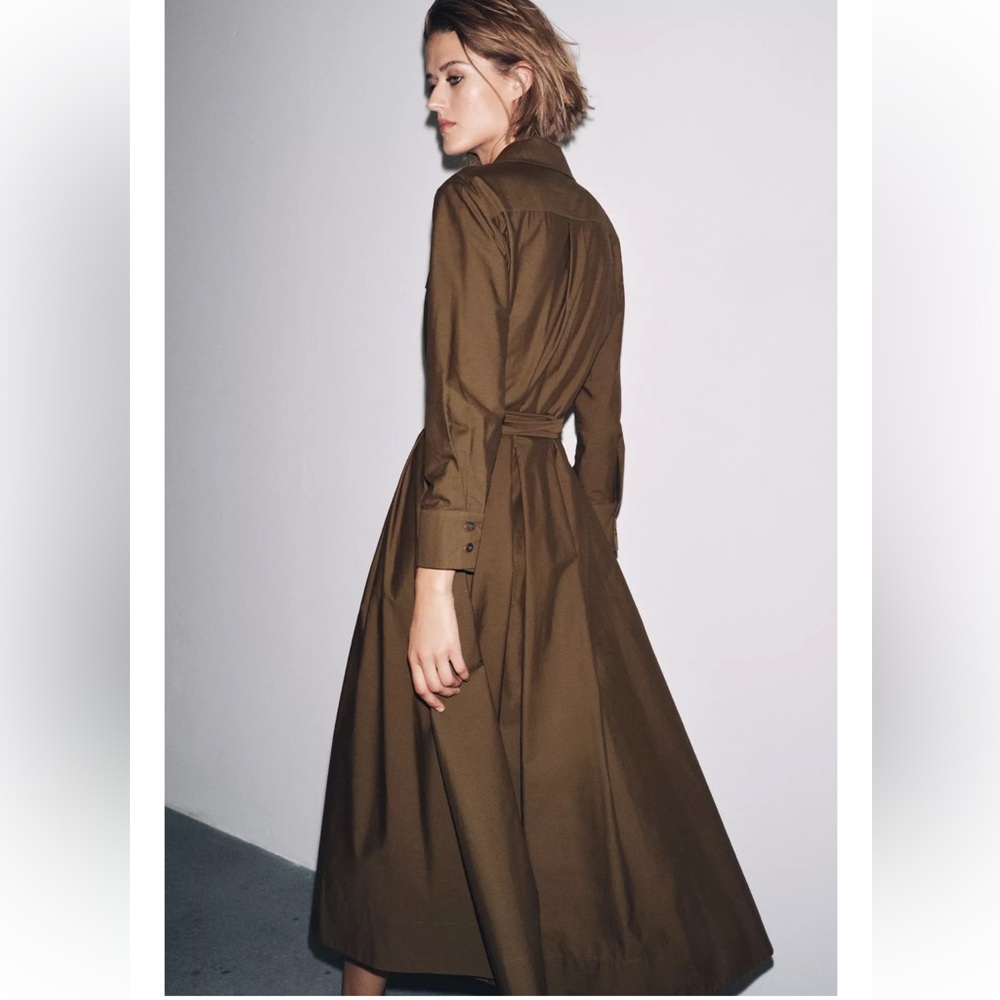Zara Chocolate Brown Midi Shirt Dress with Tie Waist - Picture 5 of 12
